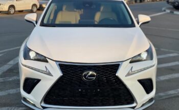 2019 Lexus NX300 2.0L V4 Turbo