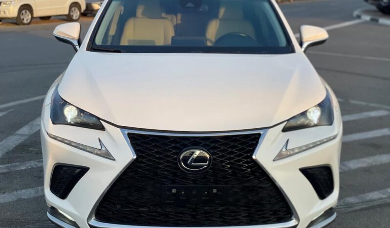 2019 Lexus NX300 2.0L V4 Turbo